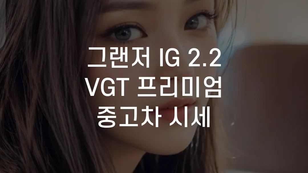 그랜저 IG 2.2 VGT 프리미엄 중고차 시세