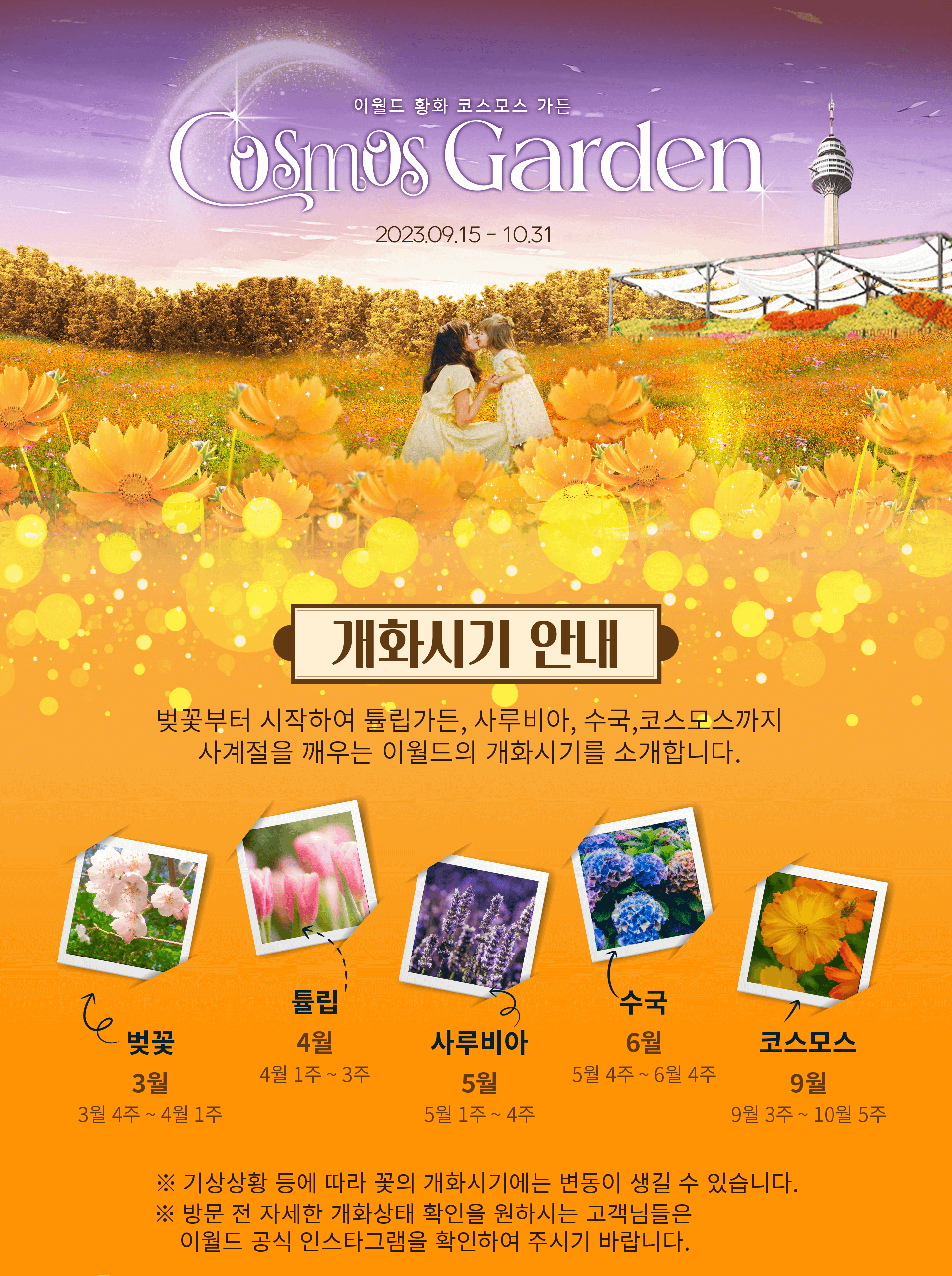 23년 10월 대구 축제 정보 총정리! 전국 축제 알아보기 대구 편