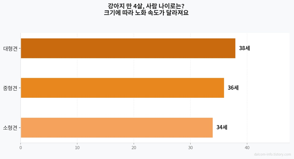 강아지 4살 사람 나이 비교