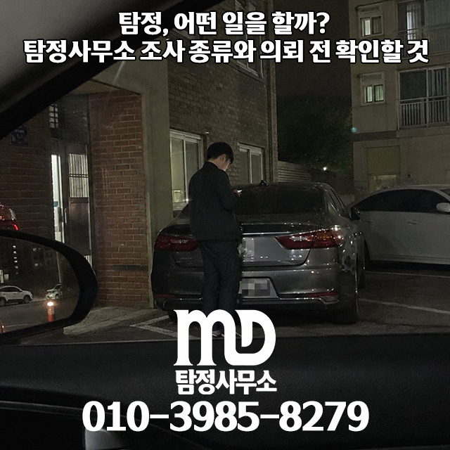 객관적인 기록 조사를 하는 탐정