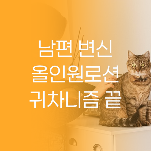 귀차니즘 남편을 위한 선택 포엘리에 