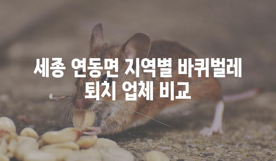 세종 연동면 지역별 바퀴벌레 퇴치 업체 비교