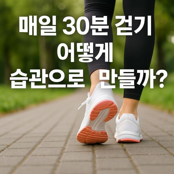 매일 30분 걷기/gpt