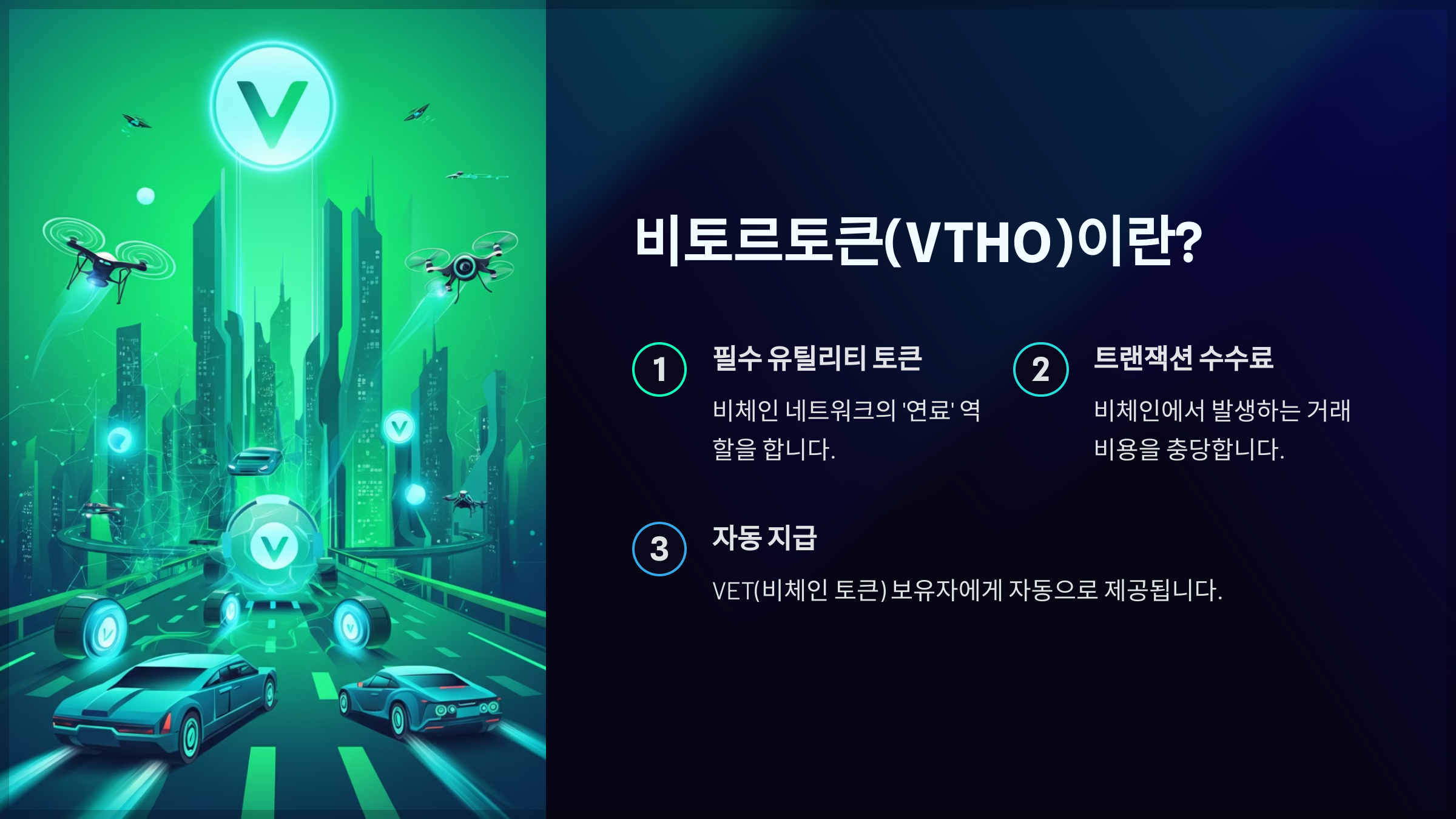 비토르토큰(VTHO)이란?
