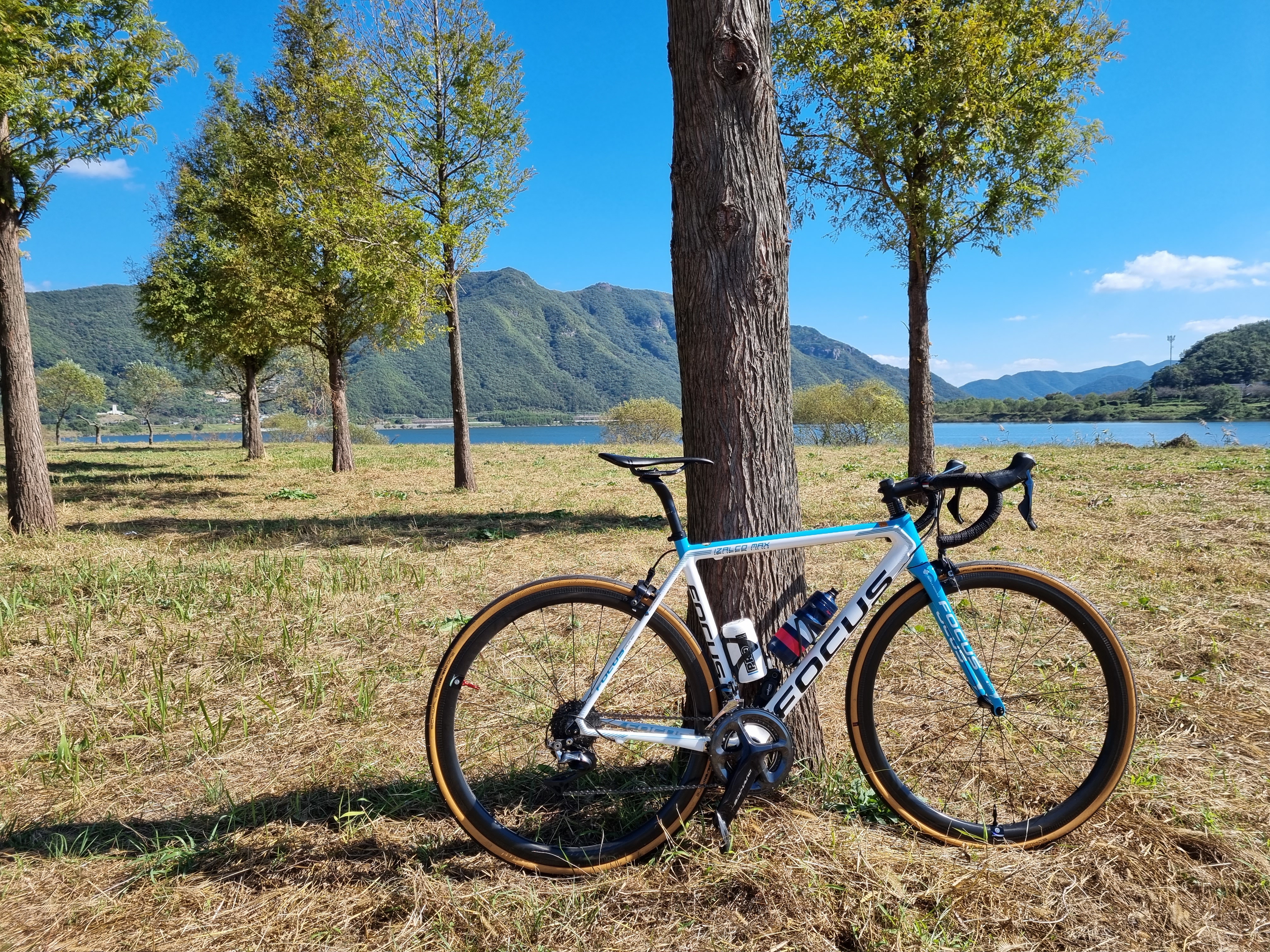 2018포커스이자르코맥스