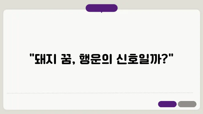 돼지 꿈 해몽