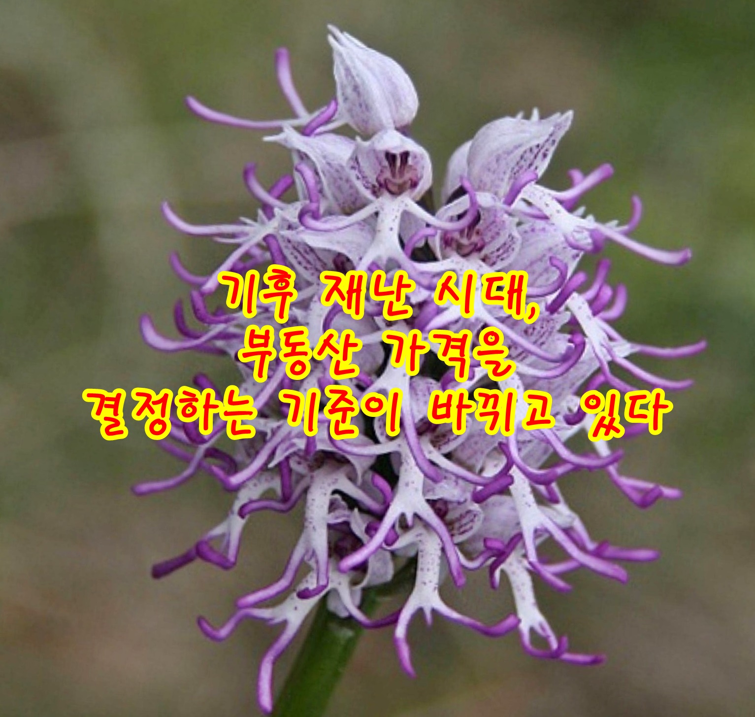 기후 재난 시대, 부동산 가격을 결정하는 기준이 바뀌고 있다