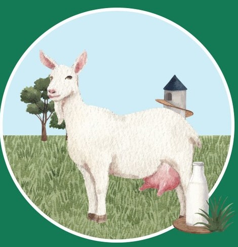 산양유 단백질 추천 2-산양유 단백분말