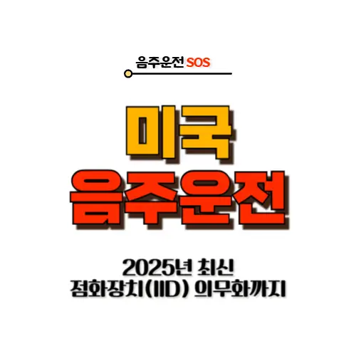 미국 음주운전