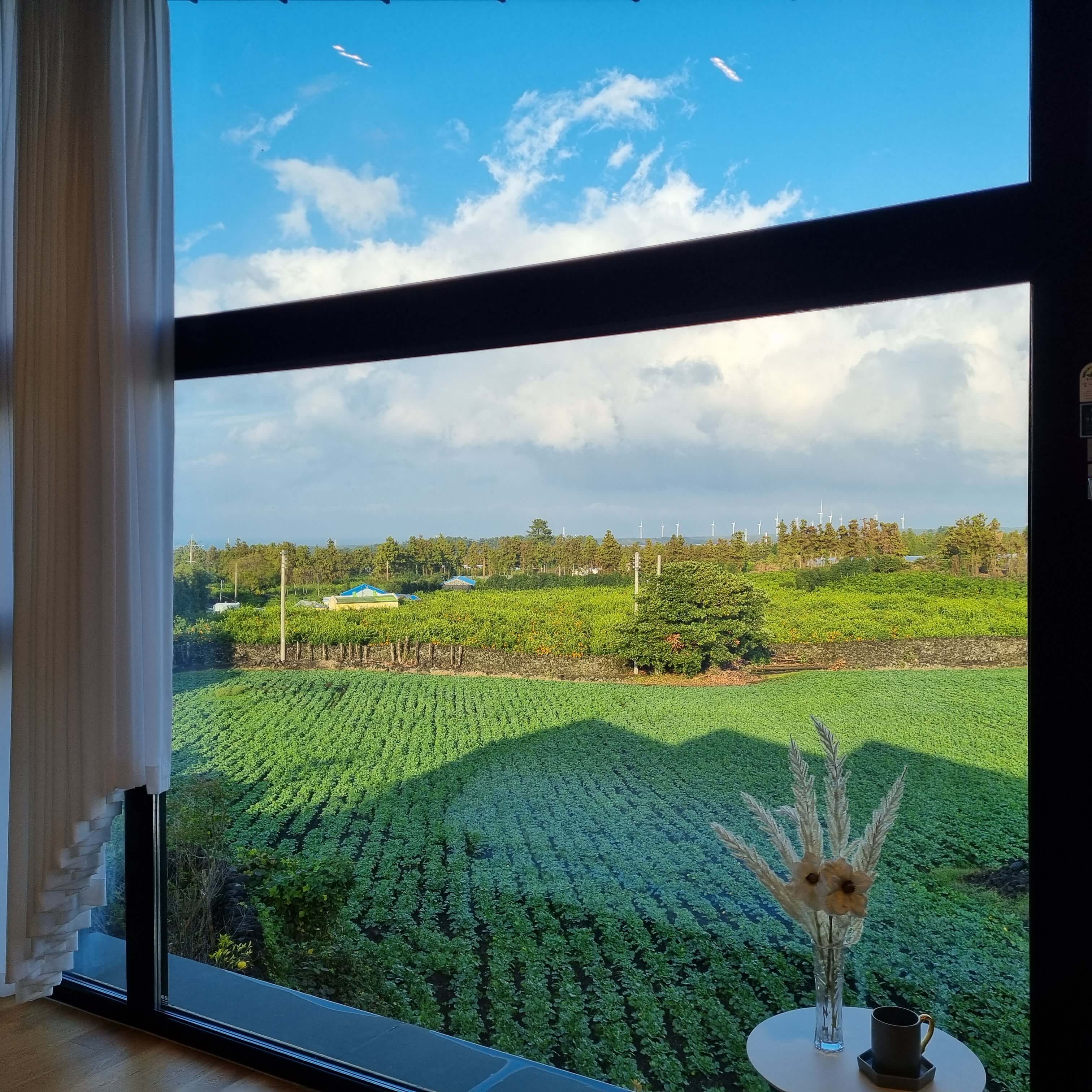 제주도 타운하우스