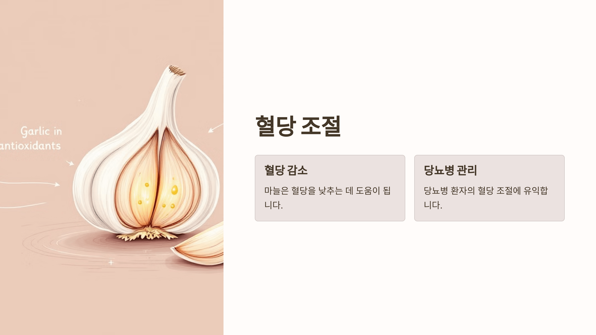 마늘 사진입니다.