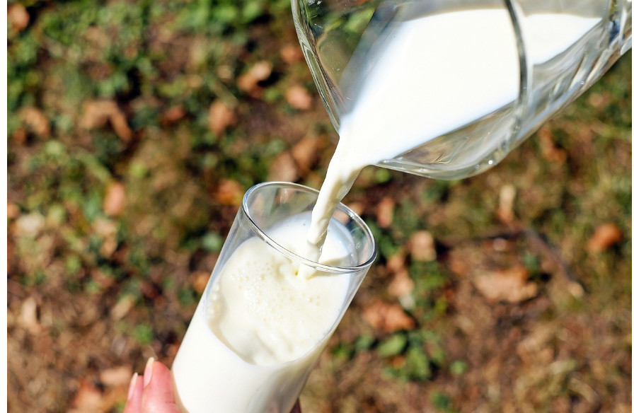 분유 종류별 특징 총정리 (육아템, 신생아, 추천)