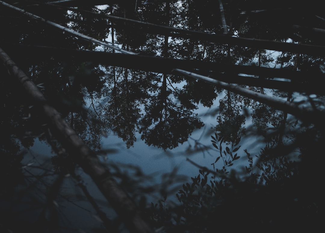 Reflection.