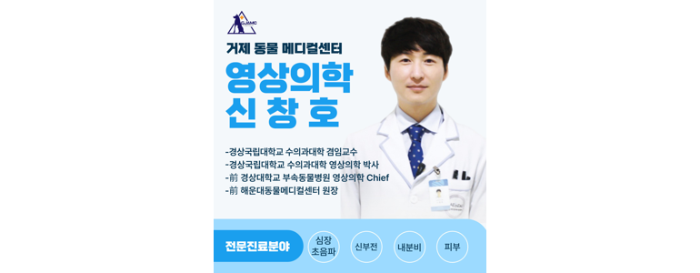 거제시 동물병원