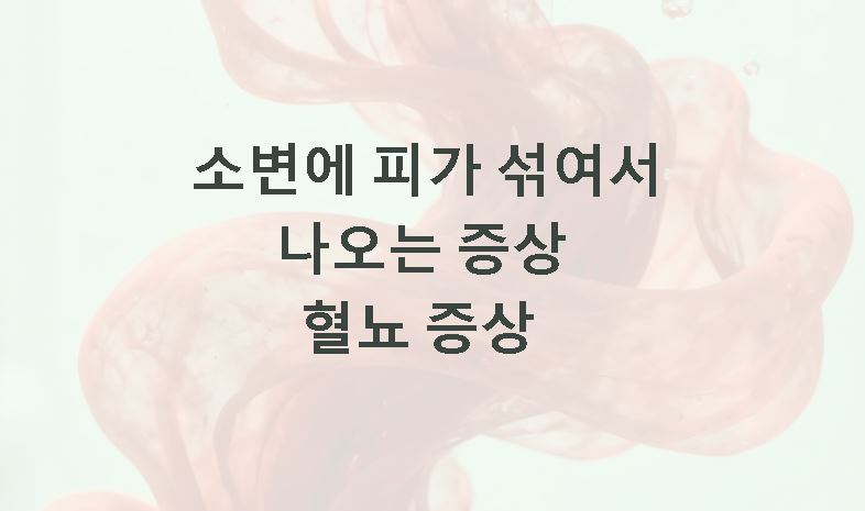 소변에 피가 섞여서 나오는 증상 혈뇨 증상