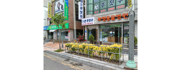 보령시 동물병원