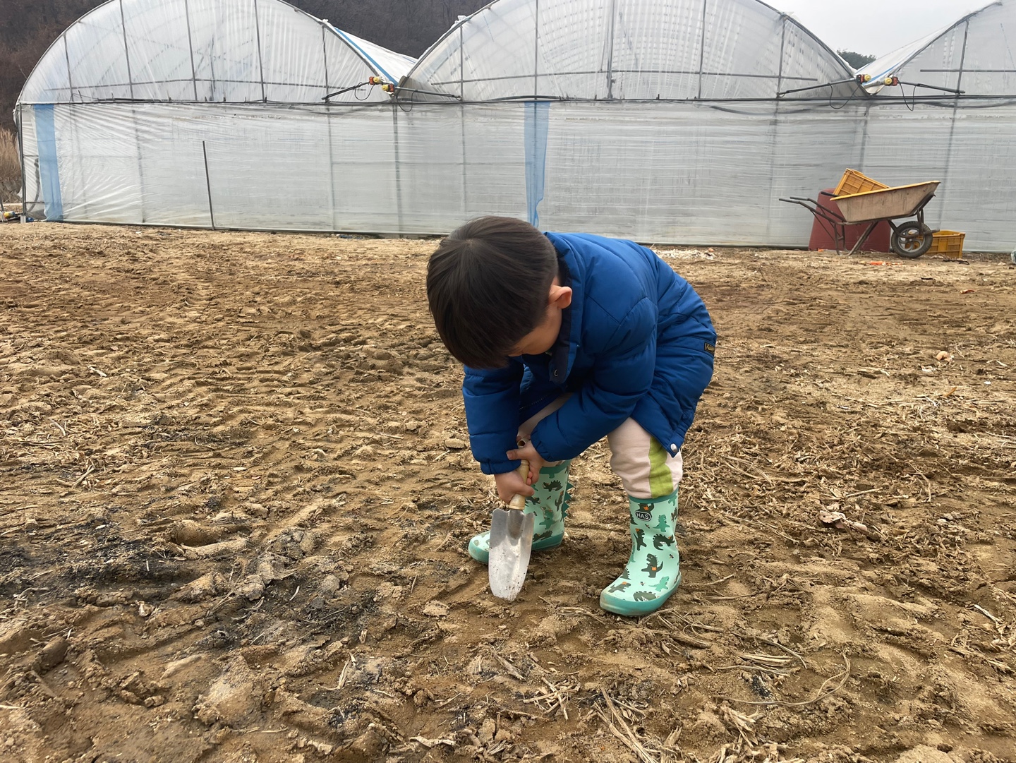 일일농사꾼