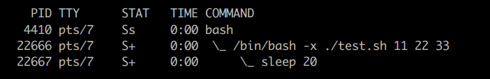 #!/bin/bash -x 실행 예시