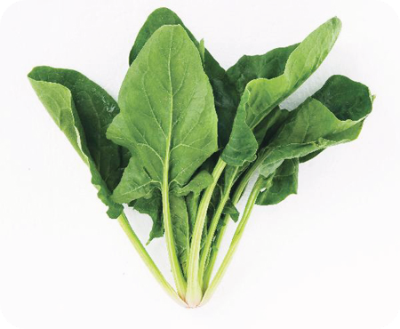 칼륨이-많은-음식