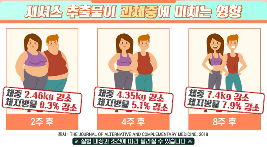 시서스 효능
