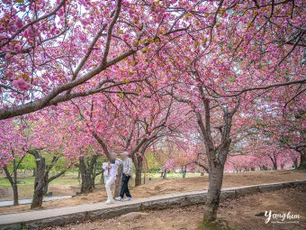경주 가볼만한곳 베스트10 황리단길 대릉원 야경 산책로 추천_15