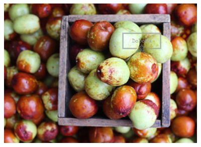 다이어트에-좋은-가을-제철음식-대추