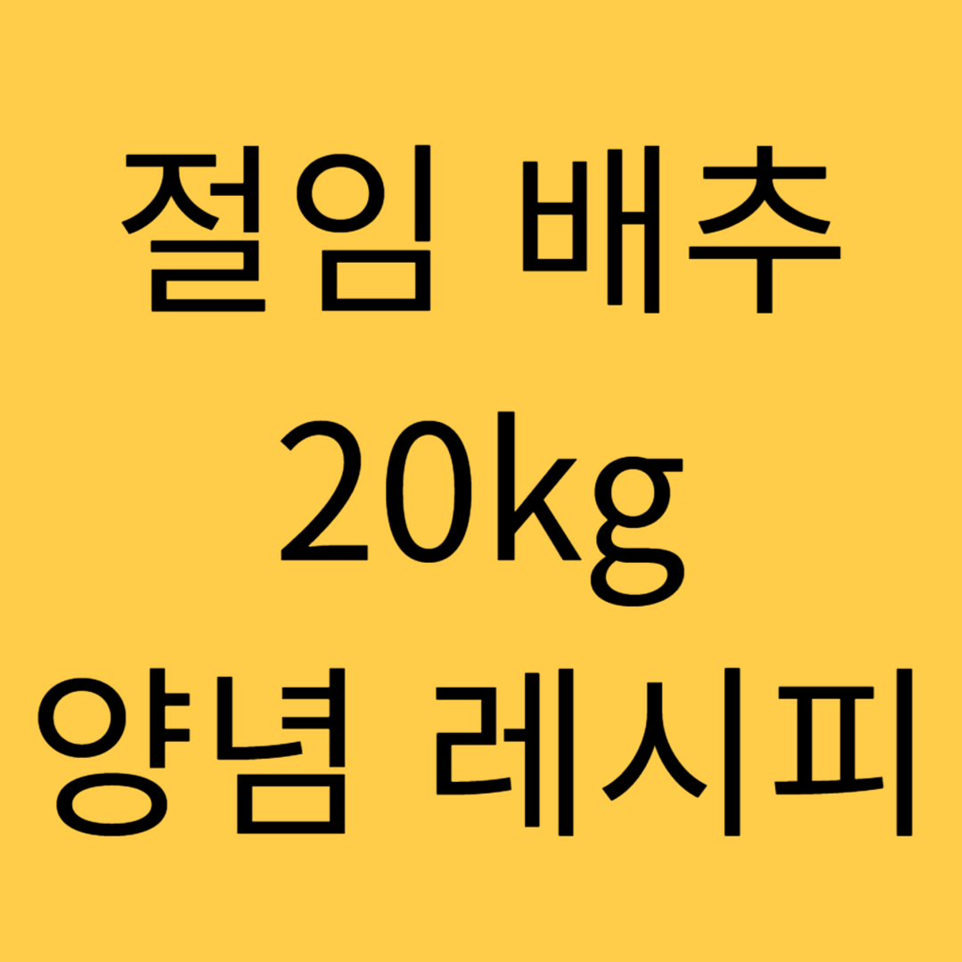 절임 배추 20kg 양념 레시피