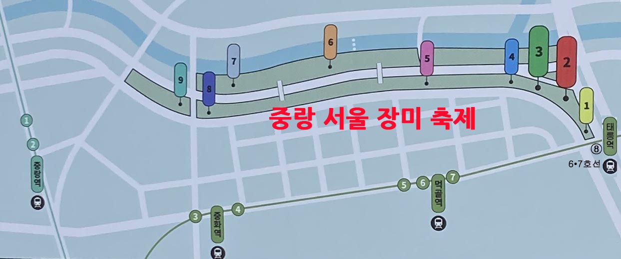 서울중랑장미축제행사장