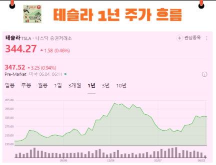 테슬라 주가 기회 위기