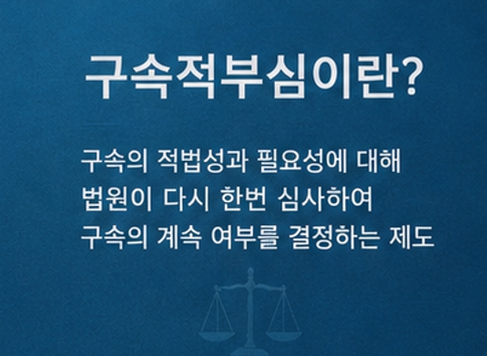 김세의 구속적부심