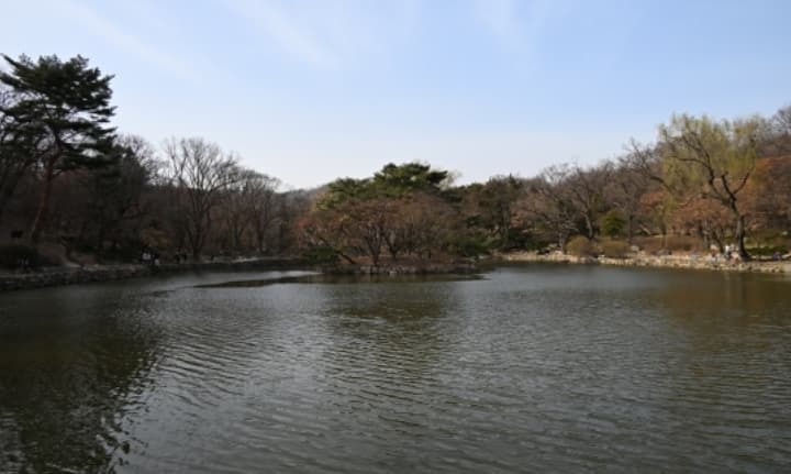 물속에 잠긴 조선의 기억 &mdash; 춘당지, 시험장에서 유원지까지의 100년