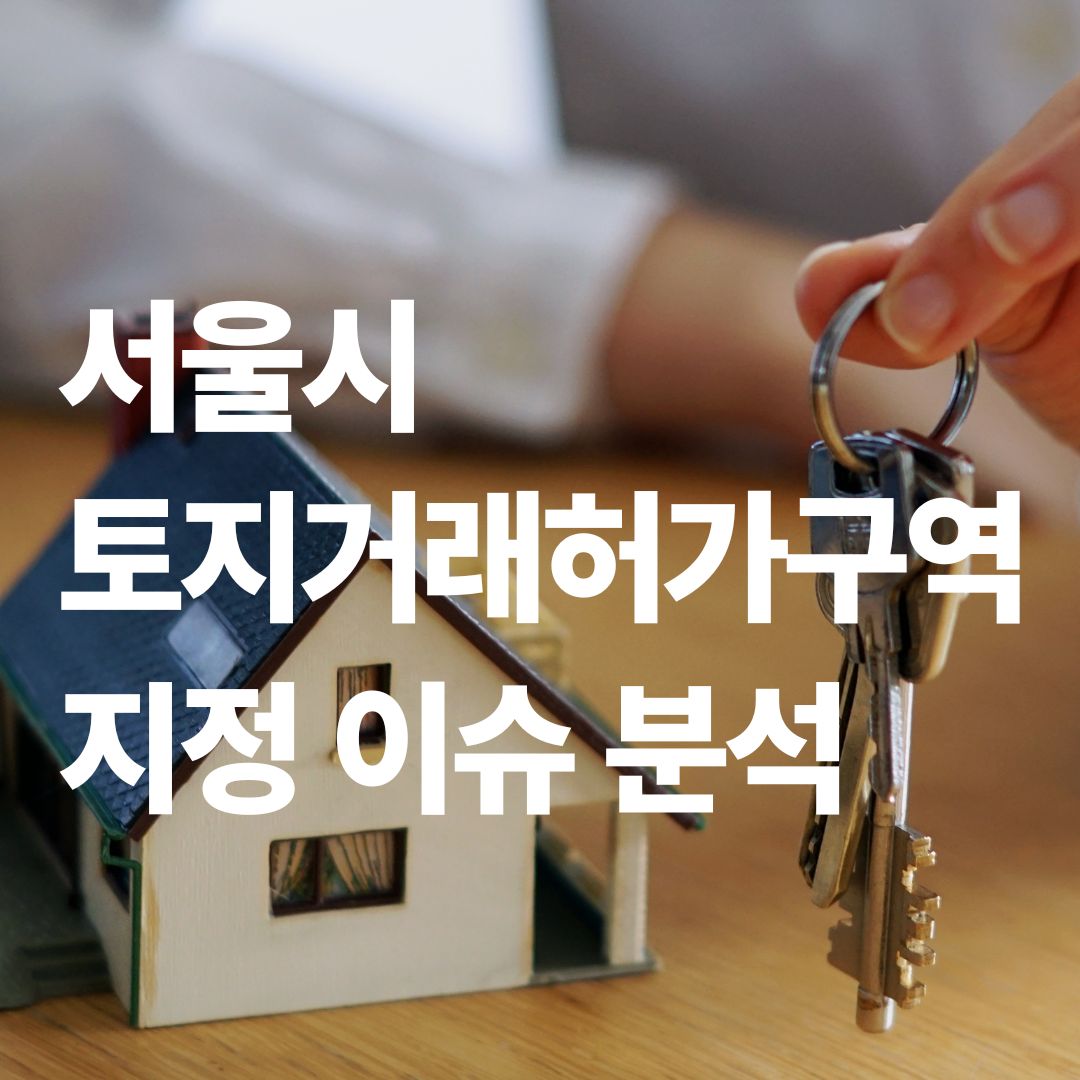 서울시 토지거래허가구역