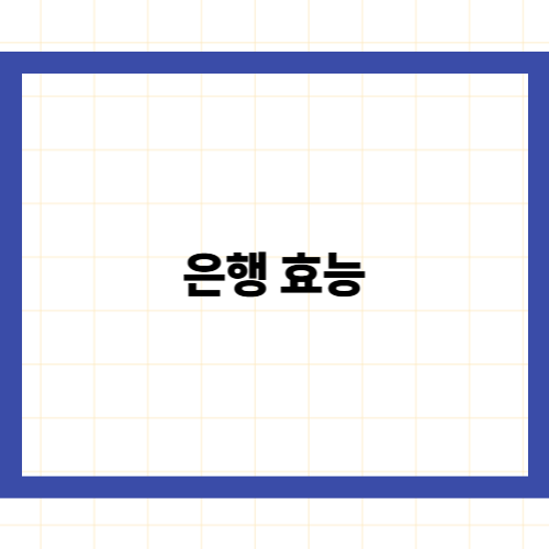 은행 효능