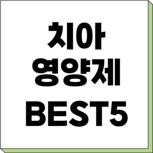 치아 영양제 추천