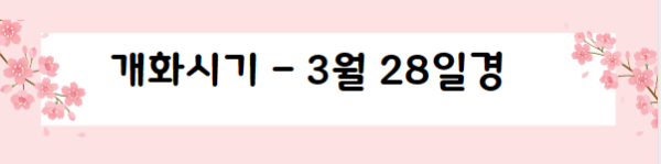 봄꽃 여행지