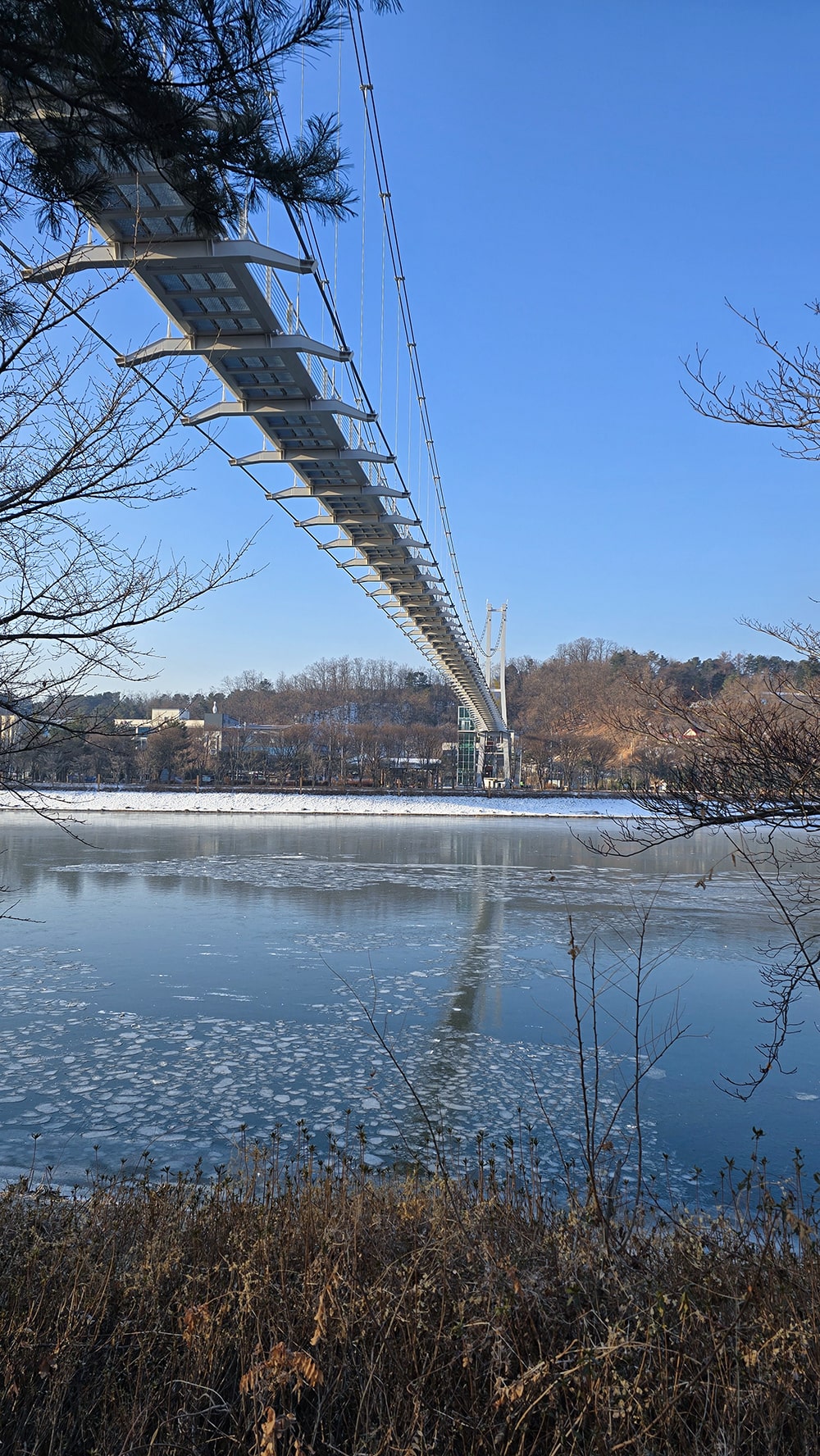 춘천 사이로 248 의암호 수변 전망 출렁다리-7