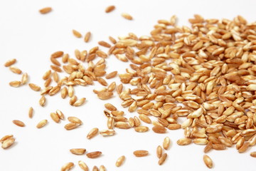 파로 곡물 효능과 부작용, 가격, 원산지, 먹는 법, 파로 곡물 추천 순위(24년 11월)