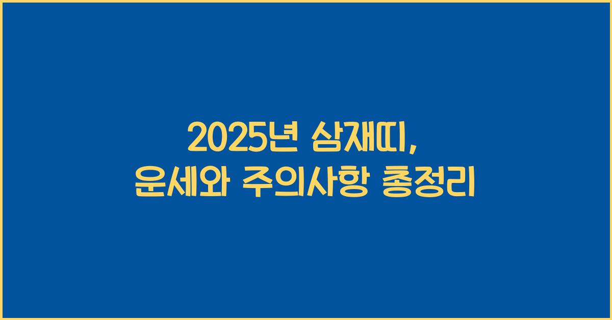 2025년 삼재띠