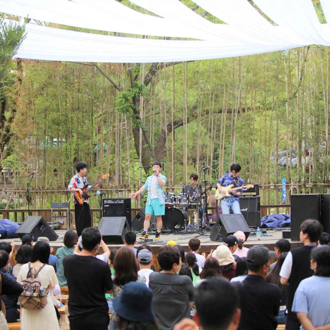 남이섬 어쿠스틱 청춘 페스티벌