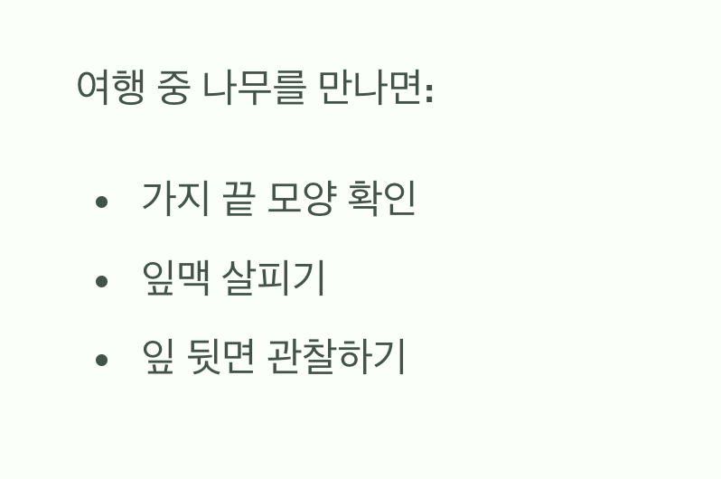 이제 당신도 남쪽 숲의 전문가