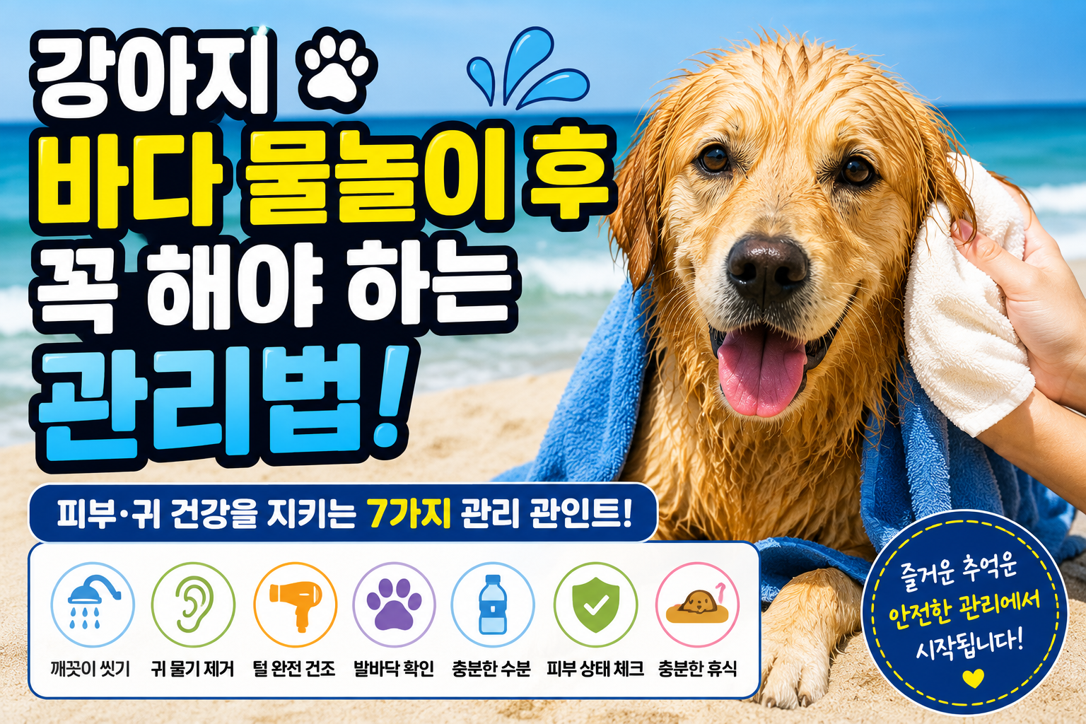 강아지 바다 물놀이 후 꼭 해야 하는 관리법|피부·귀 건강 지키는 7가지 방법