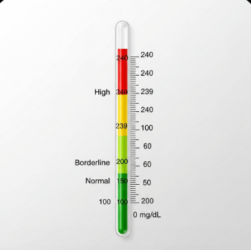 콜레스테롤 정상수치 완벽 정리5