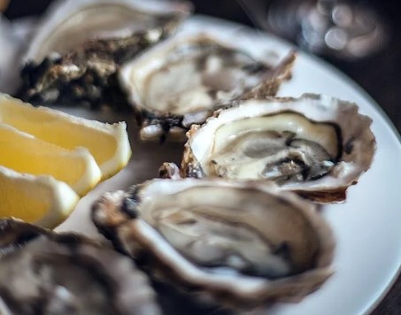 남해 겨울 별미 굴