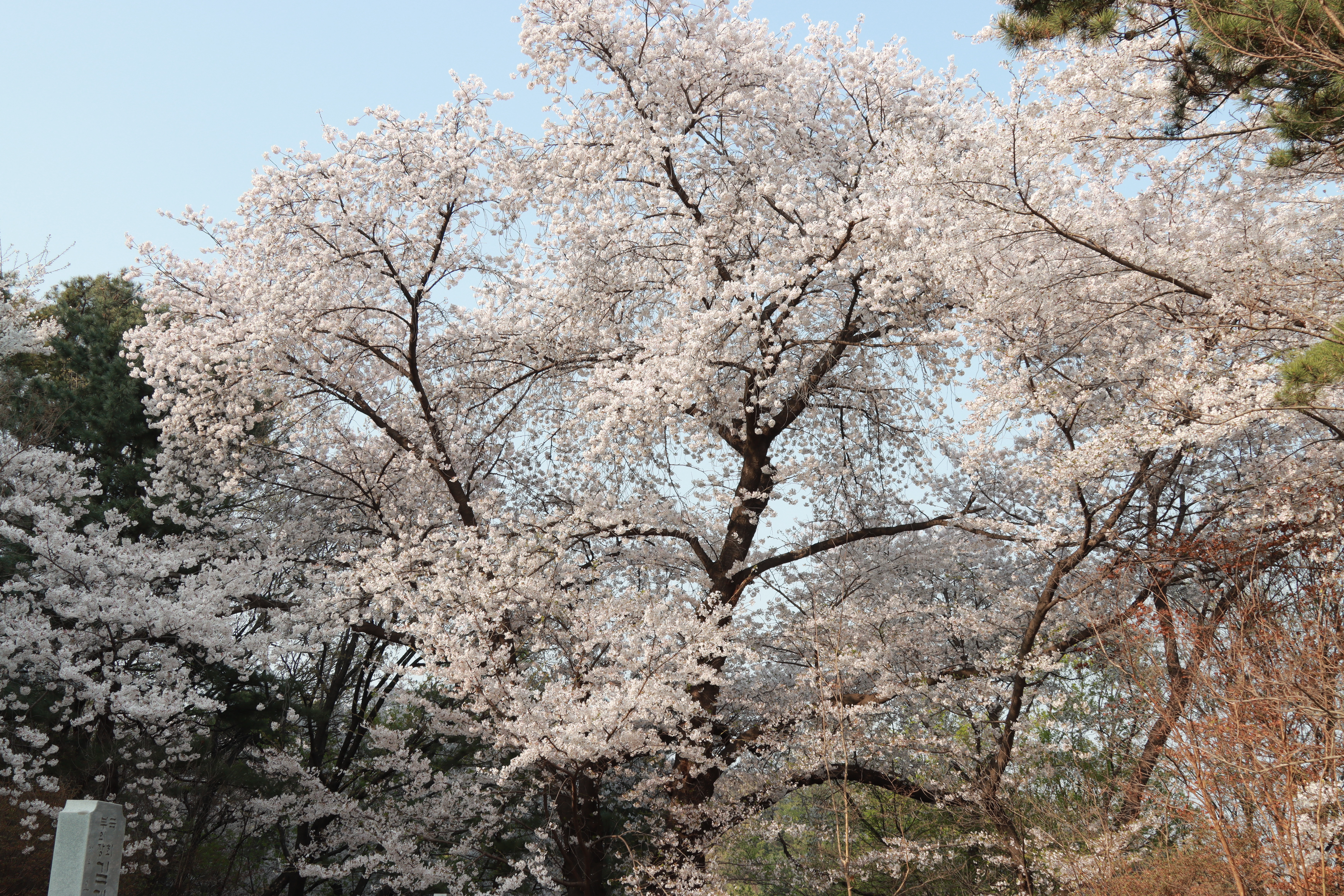 국립현충원