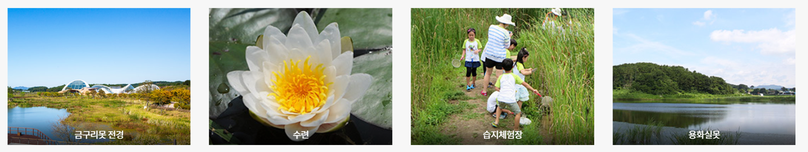 충남 서천 국립생태원 에코리움: 세계 5대 기후 체험과 주요 전시관, 백패커 방문