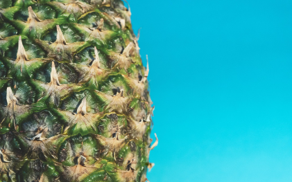 블루베리 관련 사진