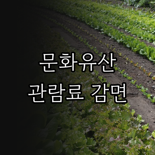 2025년 국가지정문화유산 관람료 감..