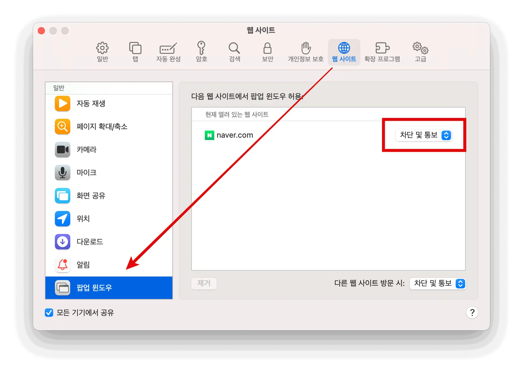 사파리 웹 사이트 탭