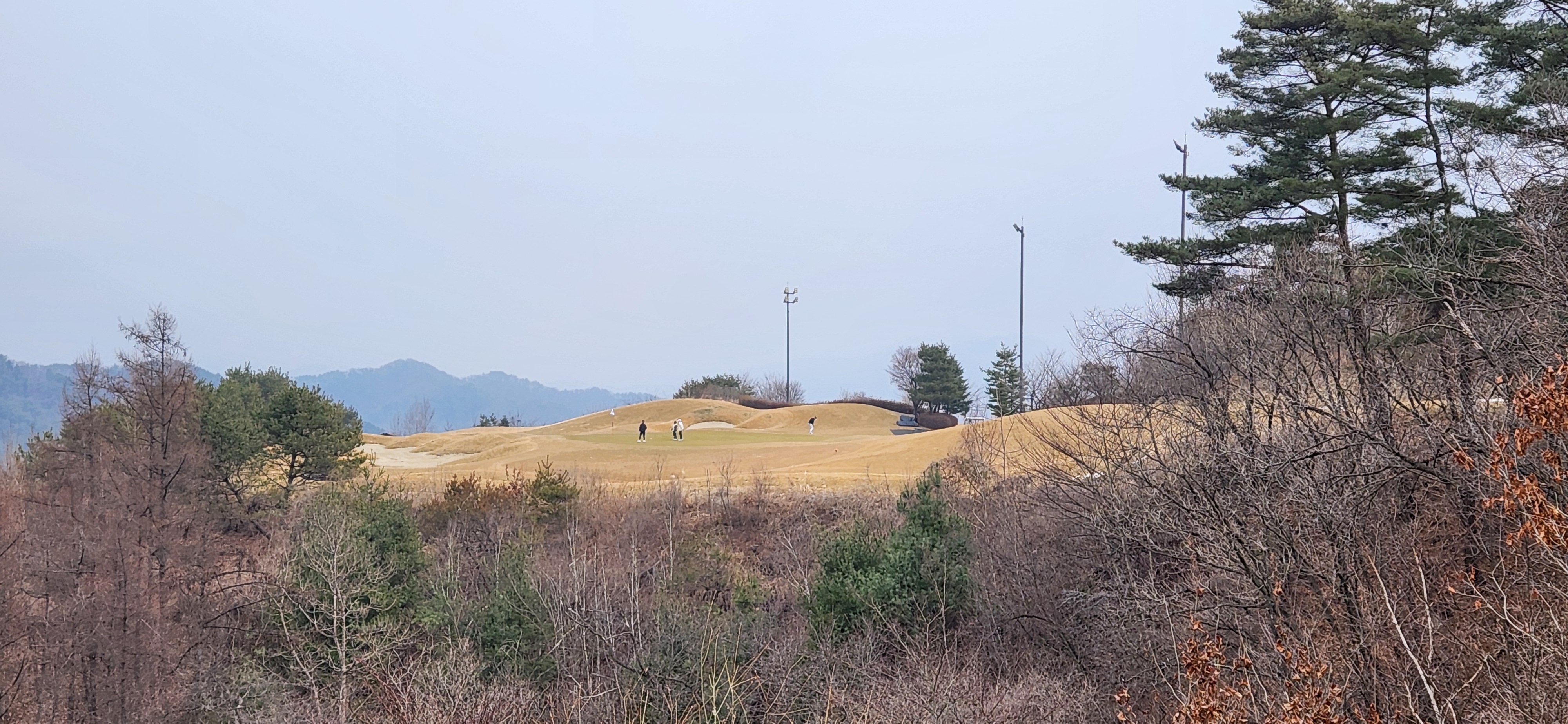 힐드로사이cc