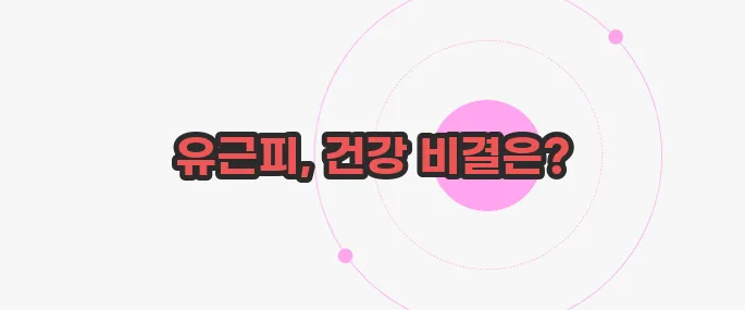 유근피 효능 궁금한 점, 풀어보죠